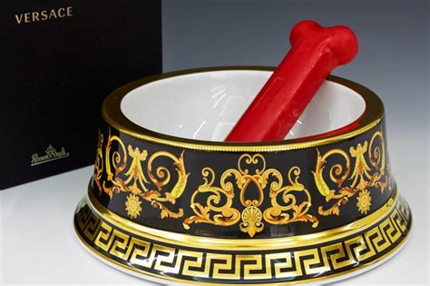 versace dog bowl set|Versace Designer Pet Accessories .